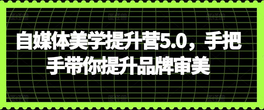 自媒体美学提升营5.0，手把手带你提升品牌审美-kk网创