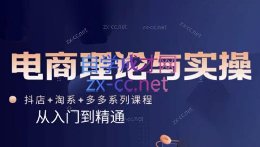 磊子·电商理论与实操(抖店+淘系+拼多多)-kk网创