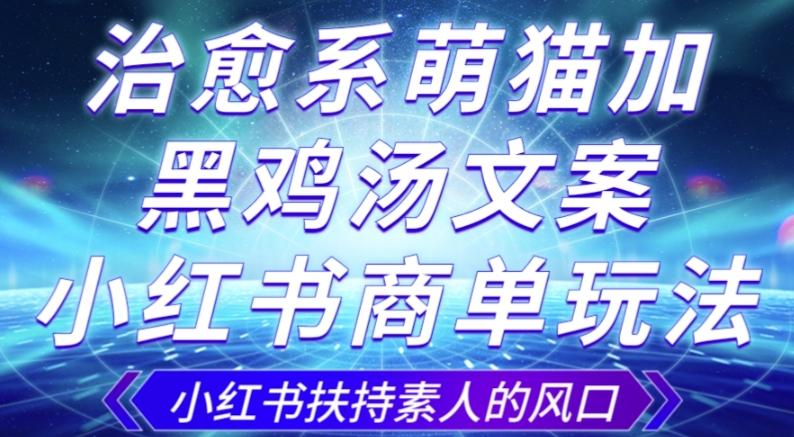 治愈系萌猫加+黑鸡汤文案，小红书商单玩法，3~10天涨到1000粉，一单200左右-kk网创