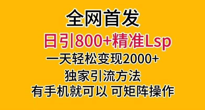 全网首发！日引800+精准老色批，一天变现2000+，独家引流方法，可矩阵操作【揭秘】-kk网创