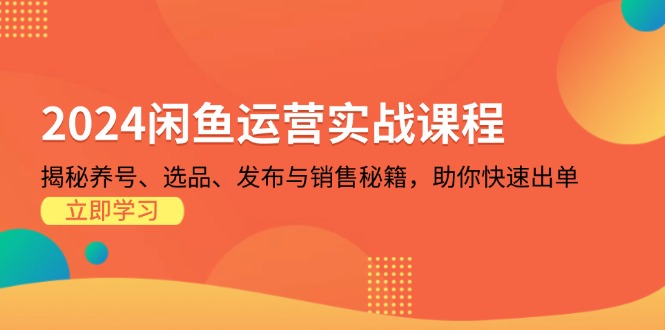 2024闲鱼运营实战课程：揭秘养号、选品、发布与销售秘籍，助你快速出单-kk网创