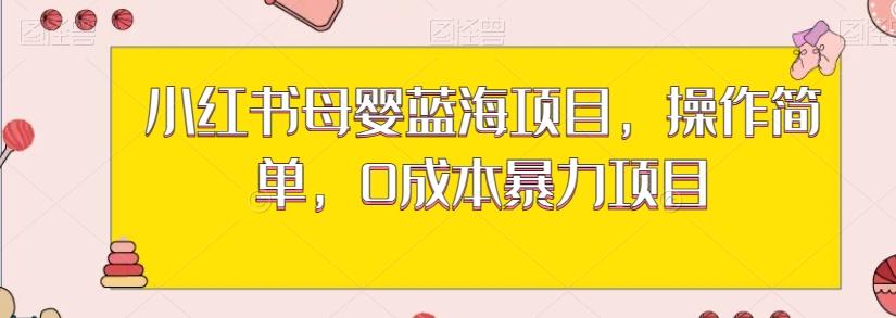 小红书母婴蓝海项目，操作简单，0成本暴力项目-kk网创