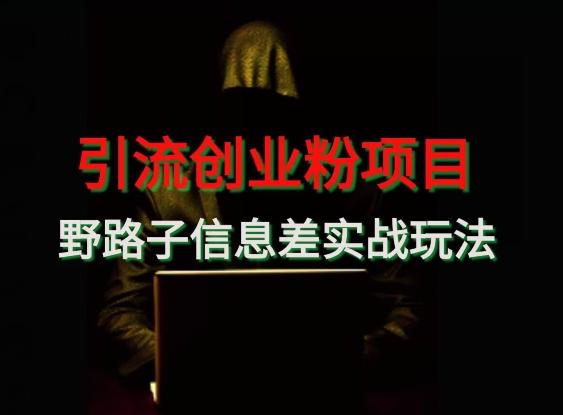 【引流创业粉】野路子信息差玩法实战教学-kk网创