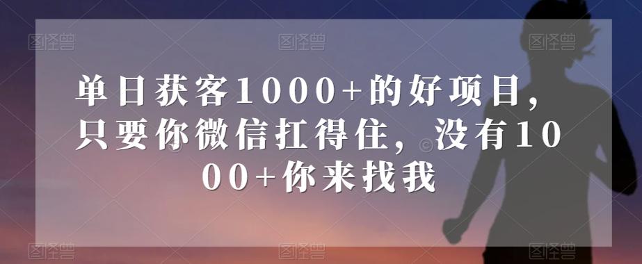 单日获客1000+的好项目，只要你微信扛得住，没有1000+你来找我【揭秘】-kk网创