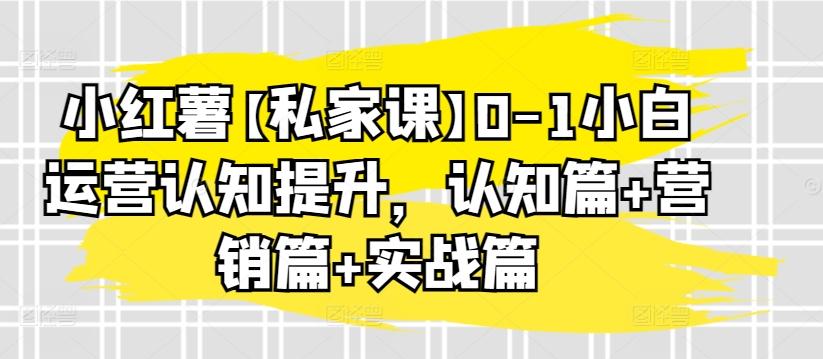 小红薯【私家课】0-1小白运营认知提升，认知篇+营销篇+实战篇-kk网创