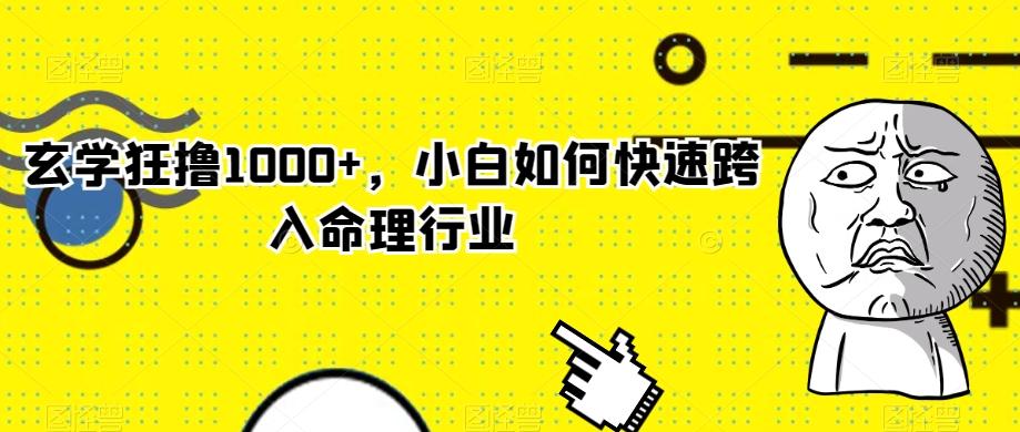 玄学狂撸1000+，小白如何快速跨入命理行业-kk网创