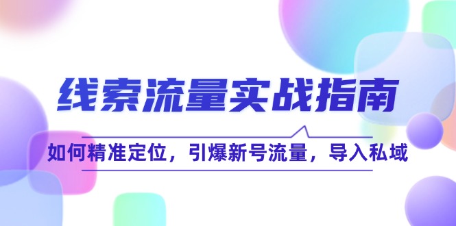 线 索 流 量-实战指南：如何精准定位，引爆新号流量，导入私域-kk网创