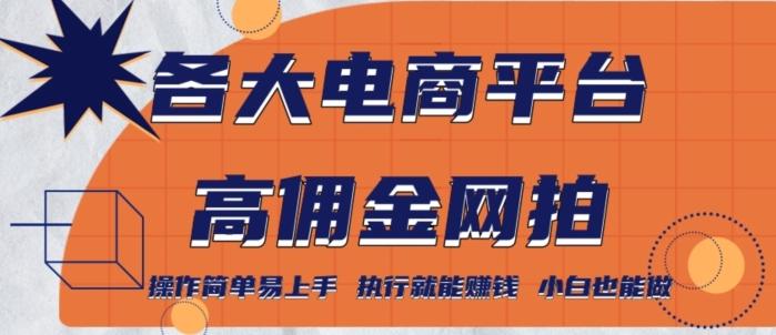 各大电商平台高佣金网拍，操作简单易上手，执行就能赚钱，小白也能做-kk网创