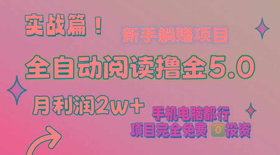 小说全自动阅读撸金5.0 操作简单 可批量操作 零门槛！小白无脑上手月入2w+-kk网创