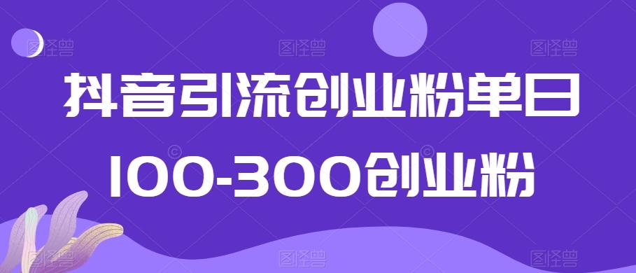 抖音引流创业粉单日100-300创业粉【揭秘】-kk网创