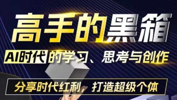 高手的黑箱：AI时代学习、思考与创作-分红时代红利，打造超级个体-kk网创