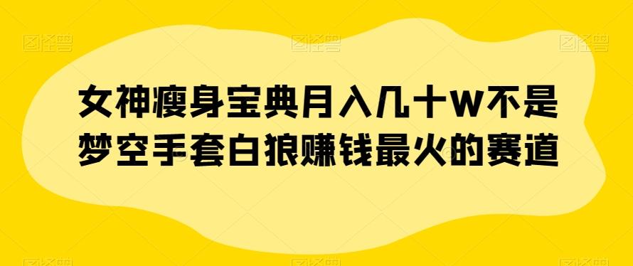 女神瘦身宝典月入几十W不是梦空手套白狼赚钱最火的赛道【揭秘】-kk网创