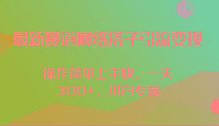 最新赛道网络搭子引流变现!!操作简单上手快，一天300+，小白专属-kk网创