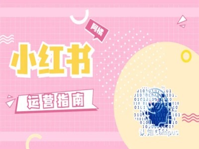 小红书运营指南，没有套路，全是经验-kk网创