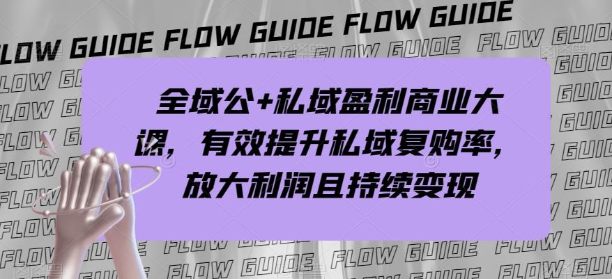 全域公+私域盈利商业大课，有效提升私域复购率，放大利润且持续变现-kk网创