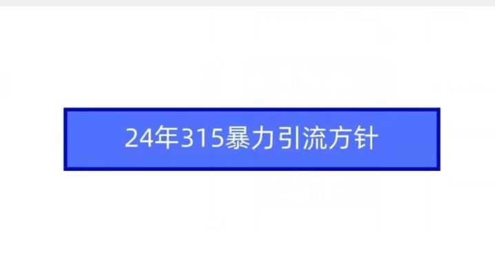 24年315暴力引流方针-kk网创