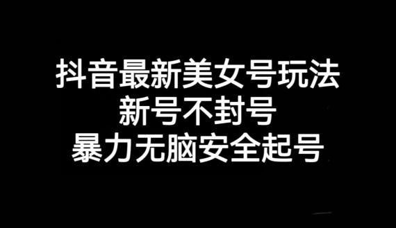 抖音最新美女号玩法，新号不封号，暴力无脑安全起号【揭秘】-kk网创