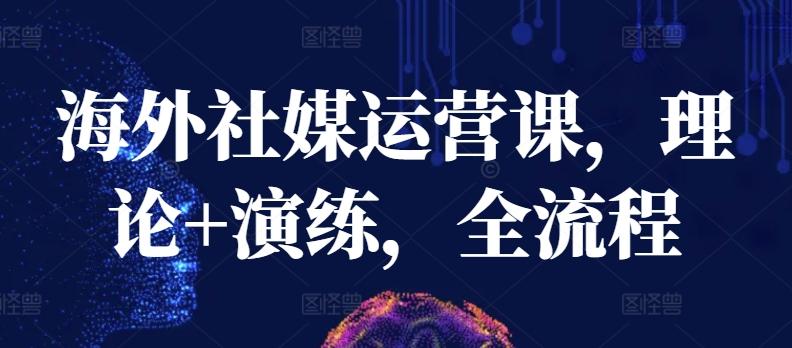海外社媒运营课，理论+演练，全流程-kk网创