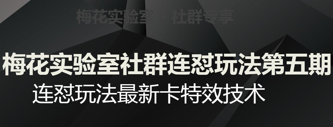 梅花实验室社群连怼玩法第五期，视频号连怼玩法最新卡特效技术-kk网创