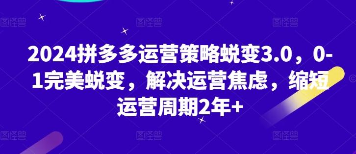 2024拼多多运营策略蜕变3.0，0-1完美蜕变，解决运营焦虑，缩短运营周期2年+-kk网创