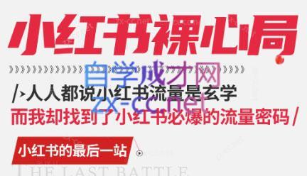 月月老师·小红书低粉高变现课-kk网创