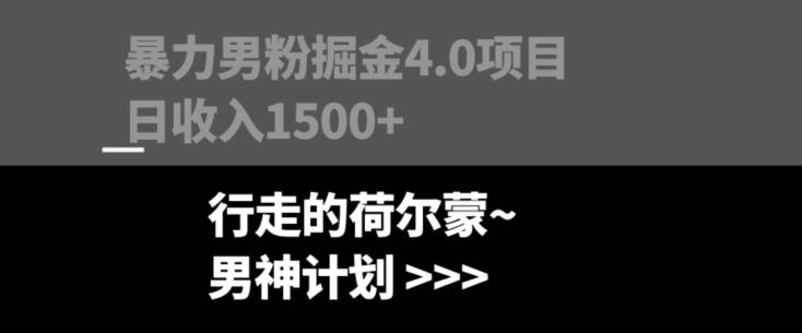 暴力男粉掘金4.0项目不违规不封号无脑复制单人操作日入1000+-kk网创