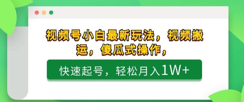 视频号小白最新玩法，视频搬运，傻瓜式操作，快速起号，轻松月入1W+-kk网创