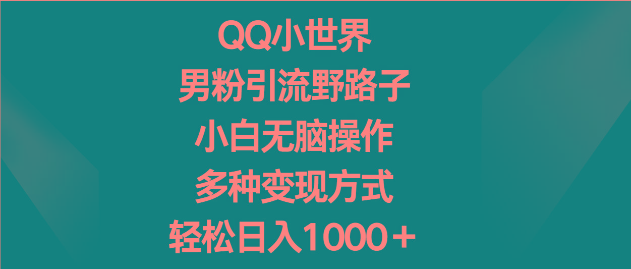 QQ小世界男粉引流野路子，小白无脑操作，多种变现方式轻松日入1000＋-kk网创
