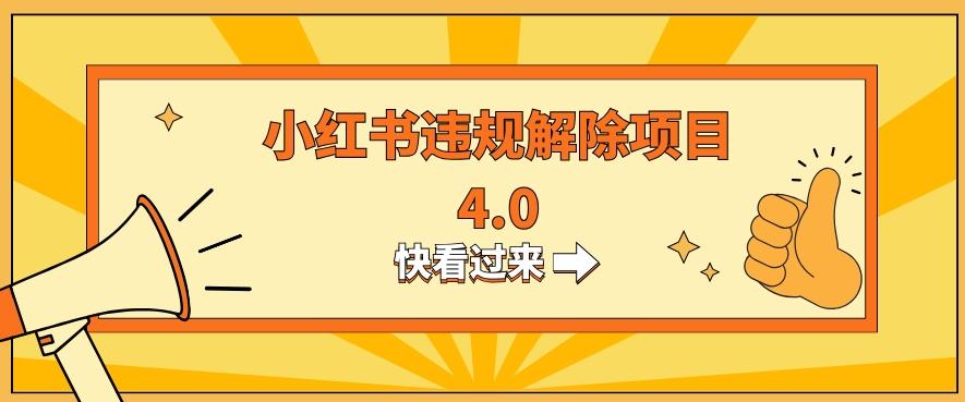 小红书违规掘金蓝海项目，日入800+（附带引流办法及解除办法）-kk网创