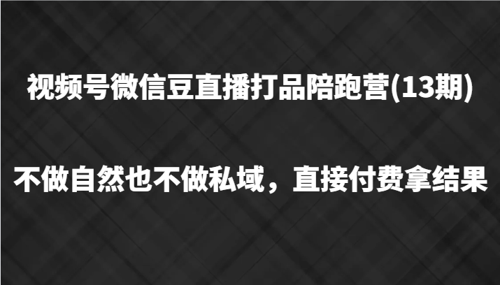 视频号微信豆直播打品陪跑(13期)，不做不自然流不做私域，直接付费拿结果-kk网创