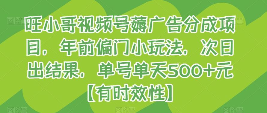 旺小哥视频号薅广告分成项目，年前偏门小玩法，次日出结果，单号单天500+元【有时效性】-kk网创