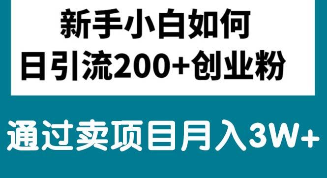 新手小白日引流200+创业粉,通过卖项目月入3W+-kk网创