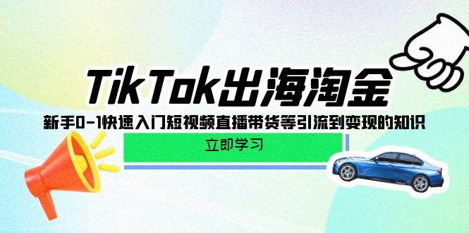 (10035期)TikTok-出海淘金，新手0-1快速入门短视频直播带货等引流到变现的知识-kk网创