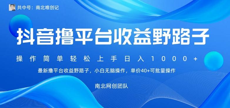 最新撸抖音平台收益野路子，操作简单，单价高，小白可无脑操作可日入1000+-kk网创