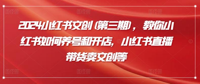 2024小红书文创(第三期)，教你小红书如何养号和开店，小红书直播带货卖文创等-kk网创