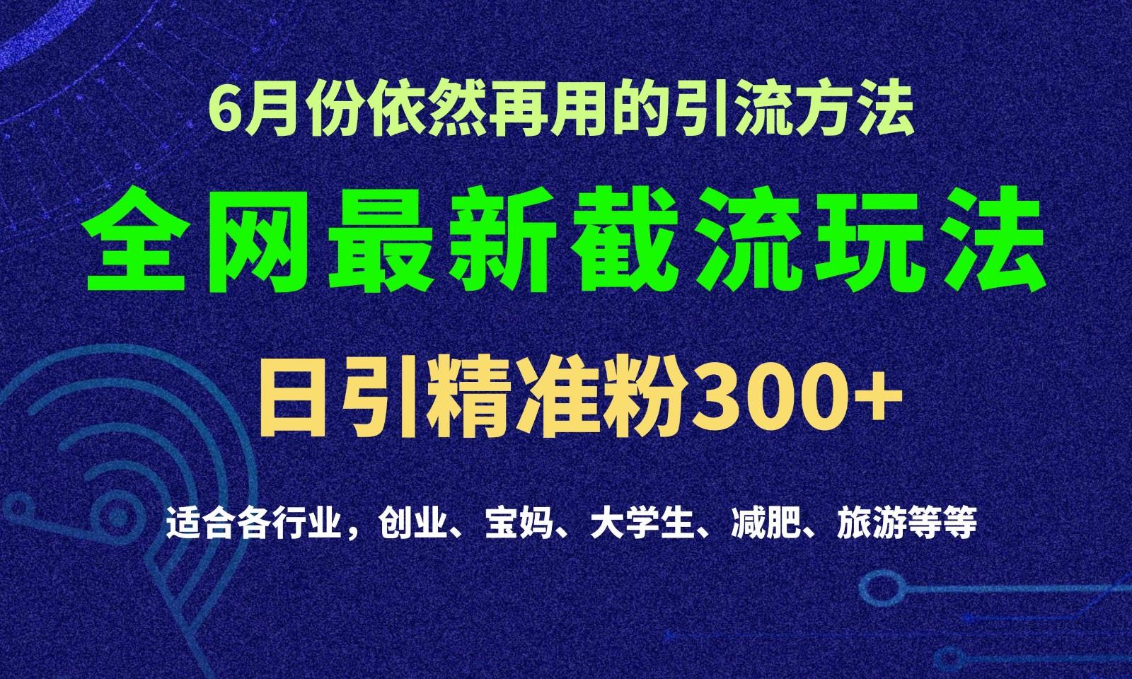 2024全网最新截留玩法，每日引流突破300+-kk网创