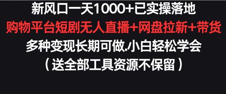 新风口一天1000+已实操落地购物平台短剧无人直播+网盘拉新+带货多种变现长期可做【揭秘】-kk网创