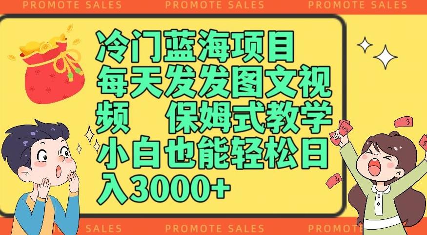 冷门蓝海项目，每天发发图文视频，保姆式教学，小白也能轻松日入3000+-kk网创