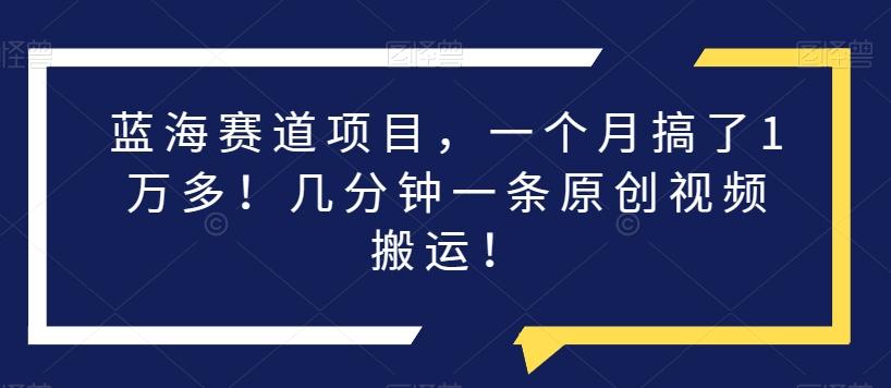 蓝海赛道项目，一个月搞了1万多！几分钟一条原创视频搬运！-kk网创