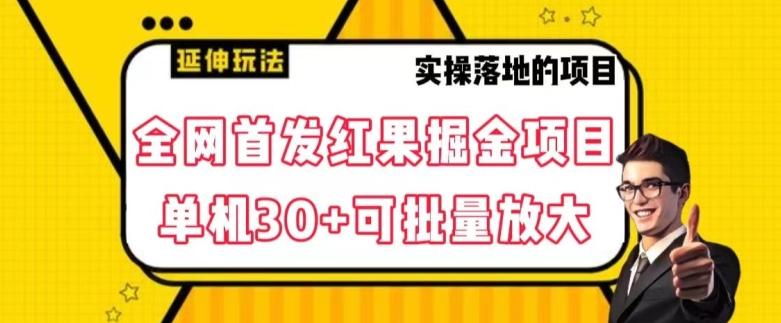 全网首发红果免费短剧掘金项目，单机30+可批量放大【揭秘】-kk网创