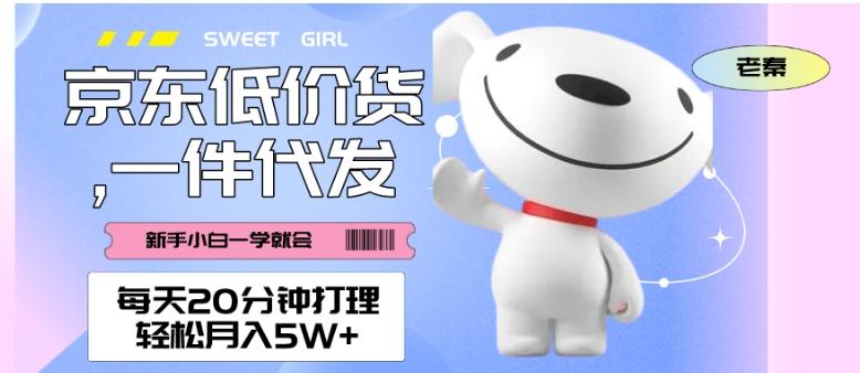 每天20分钟打理京东低价货，一件代发-轻松月入5W＋-kk网创