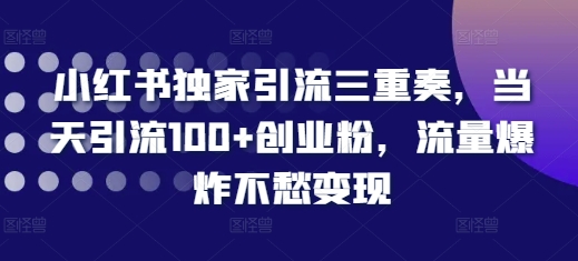 小红书独家引流三重奏，当天引流100+创业粉，流量爆炸不愁变现【揭秘】-kk网创