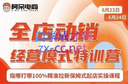 阿呆电商·全店动销经营模式特训营(线下录音+思维导图)-kk网创