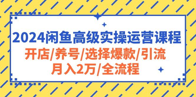 2024闲鱼高级实操运营课程：开店/养号/选择爆款/引流/月入2万/全流程-kk网创