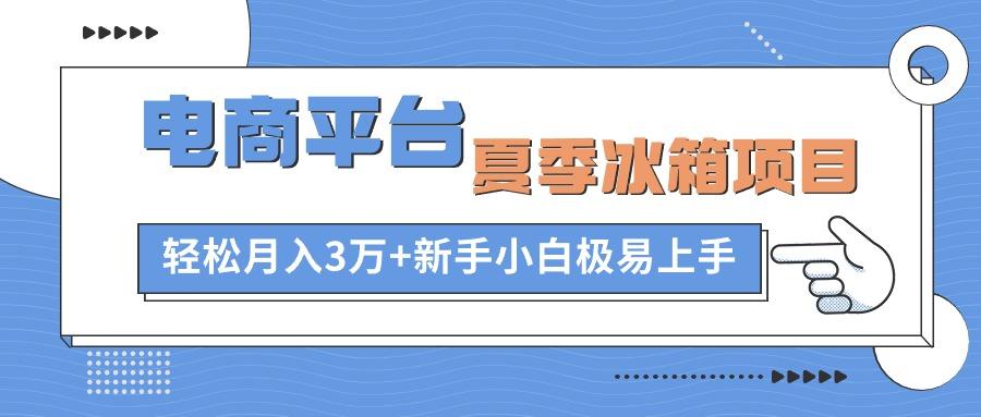电商平台夏季冰箱项目，轻松月入3万+，新手小白极易上手-kk网创