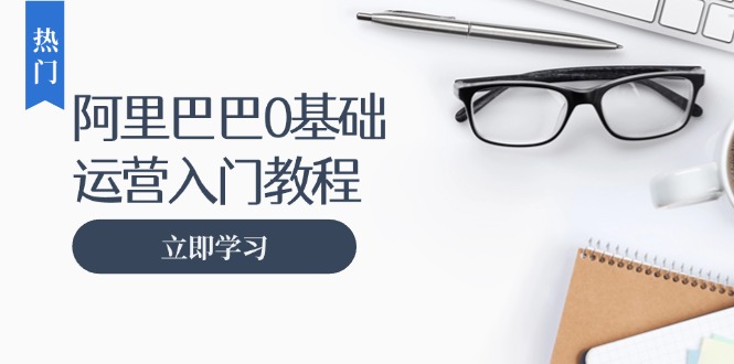 阿里巴巴运营零基础入门教程：涵盖开店、运营、推广，快速成为电商高手-kk网创