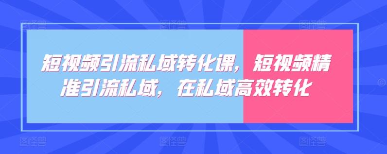 短视频引流私域转化课，短视频精准引流私域，在私域高效转化-kk网创