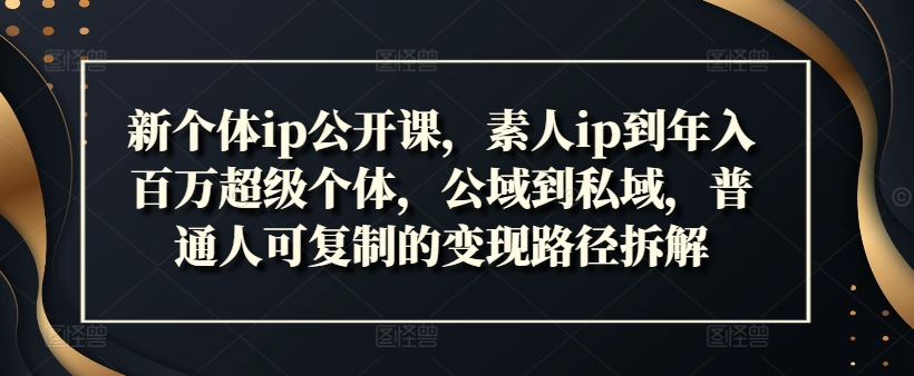 新个体ip公开课，素人ip到年入百万超级个体，公域到私域，普通人可复制的变现路径拆解-kk网创
