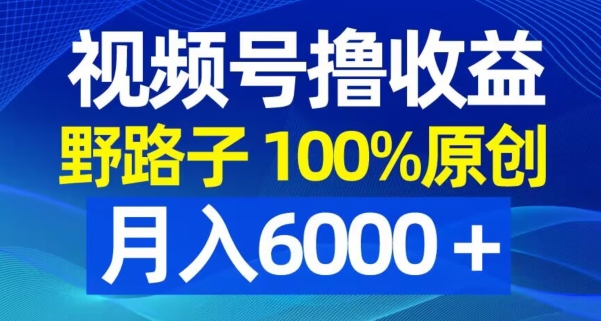 视频号野路子撸收益，100%原创，条条爆款，月入6000＋【揭秘】-kk网创