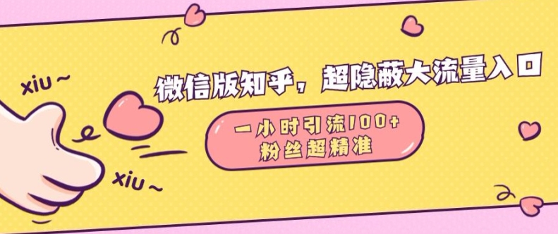 微信版知乎，超隐蔽流量入口1小时引流100人，粉丝质量超高【揭秘】-kk网创